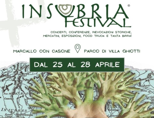 Insubria Festival 2024 | 20° edizione