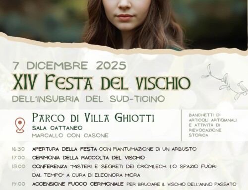 Festa del Vischio | 7 dicembre 2025